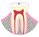 一般歯科イメージ画像