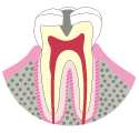 一般歯科イメージ画像
